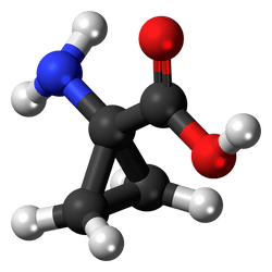 Duurzame scan MKB Chemie